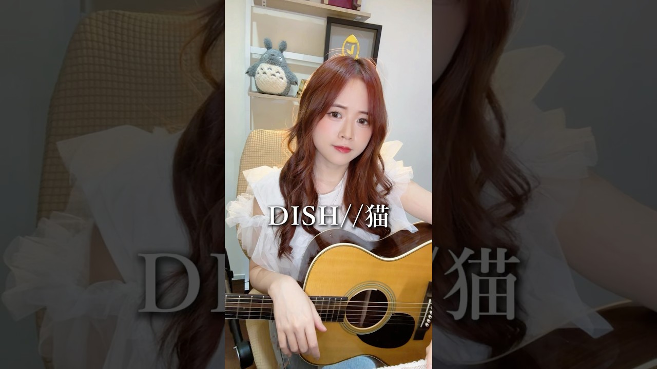 DISH// - 猫| 昀青 yunching Cover