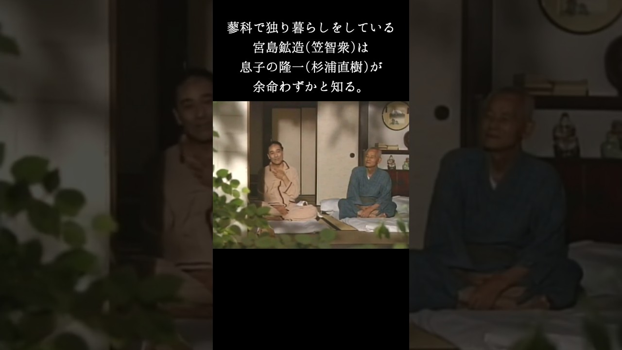 「今朝の秋」 #shorts #ドラマ #山田太一 #懐かしい #ずんだもん