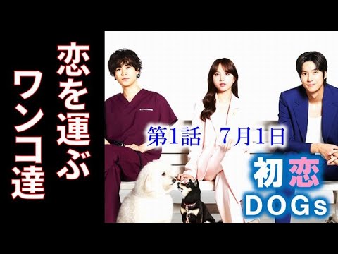 ｢初恋DOGs｣ 1話 愛犬同士の一目ぼれが3人の恋を目覚めさせ…ドラマあらすじ、清原果耶、成田凌、ナ・イヌ
