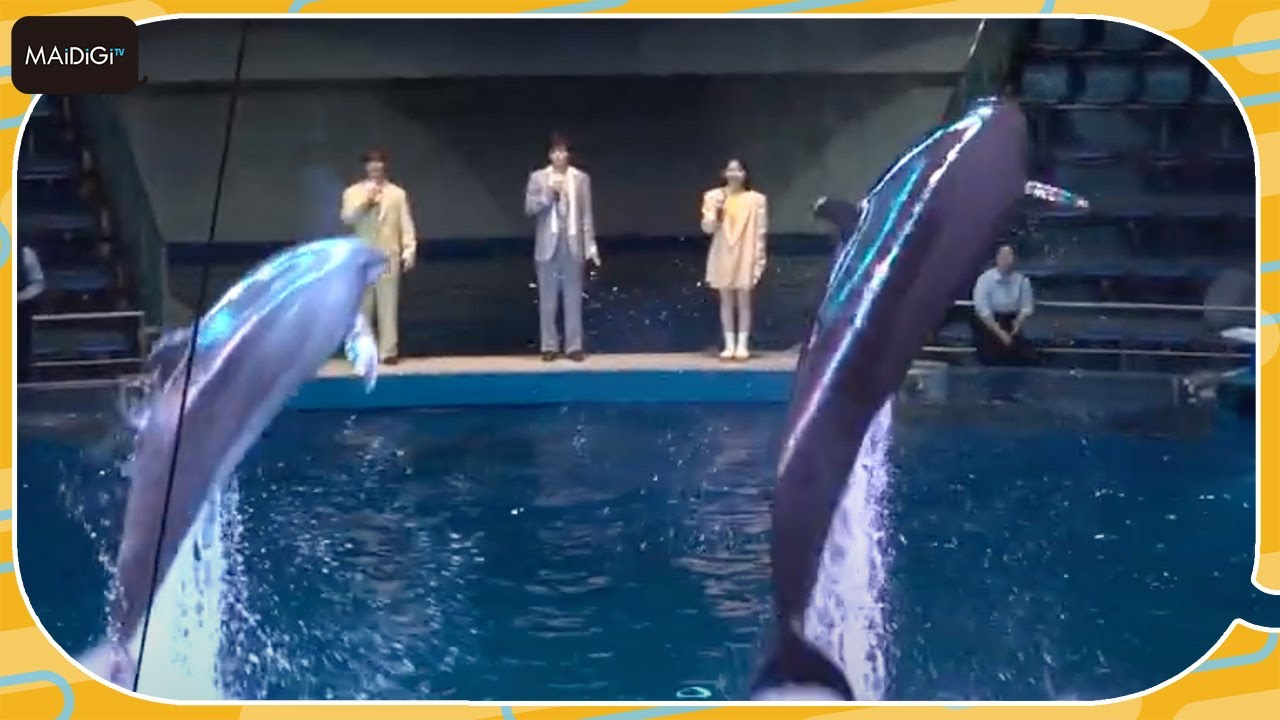 鈴鹿央士＆山田杏奈、ドルフィンパフォーマンスに興奮「仲良くなれた気がしました」　映画「ChaO」ジャパンプレミア