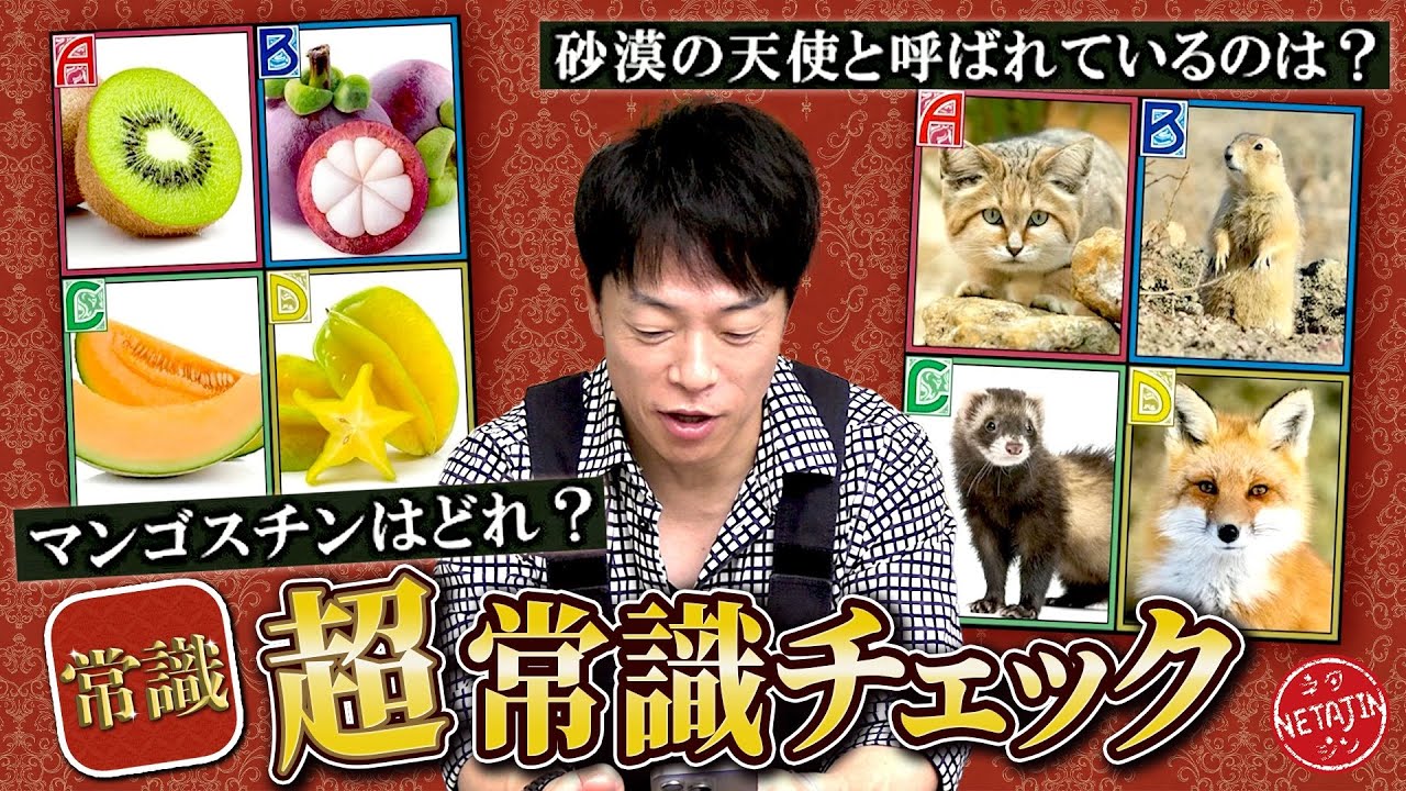 【超常識チェック!!】最下層から超一流に上り詰めろ!!陣内の常識力をクイズでチェック!!