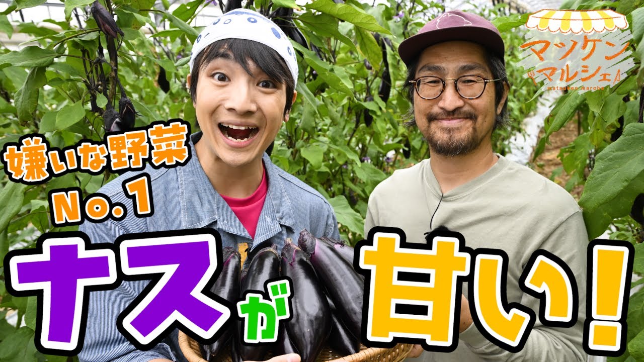 子どもが嫌いな野菜1位のナスが…甘いんです！ マツケンマルシェ収穫編