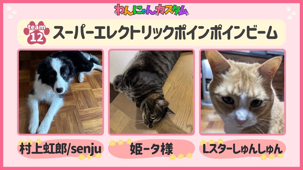 【わんにゃんカスタム 】姫だよ！！村上虹郎さんとLスターしゅんしゅんくんと出てるよ！【Apex】 #vtuber