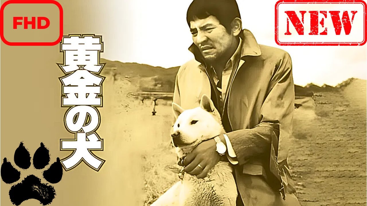 黄金の犬 第1 話