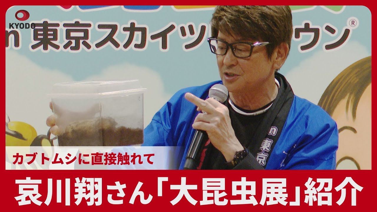 カブトムシに直接触れて 哀川翔さん「大昆虫展」紹介