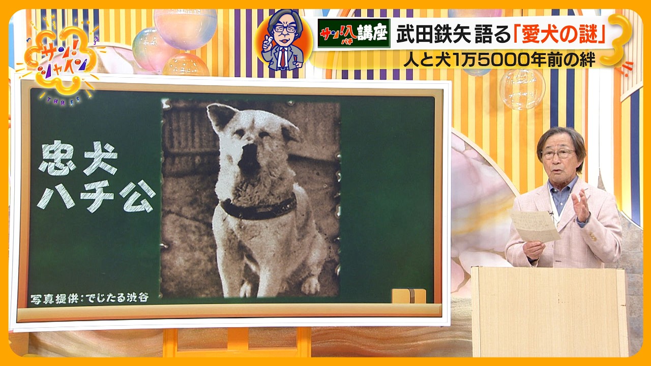 武田鉄矢の ｢教えてサン！八先生｣  “愛犬の謎” 人と犬1万5000年前の絆【サン！シャインニュース】