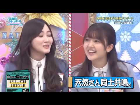 【日向坂46】「日向坂で会いましょう 2025」『四期生の素顔に迫る 抜き打ち家族アンケート！』360p