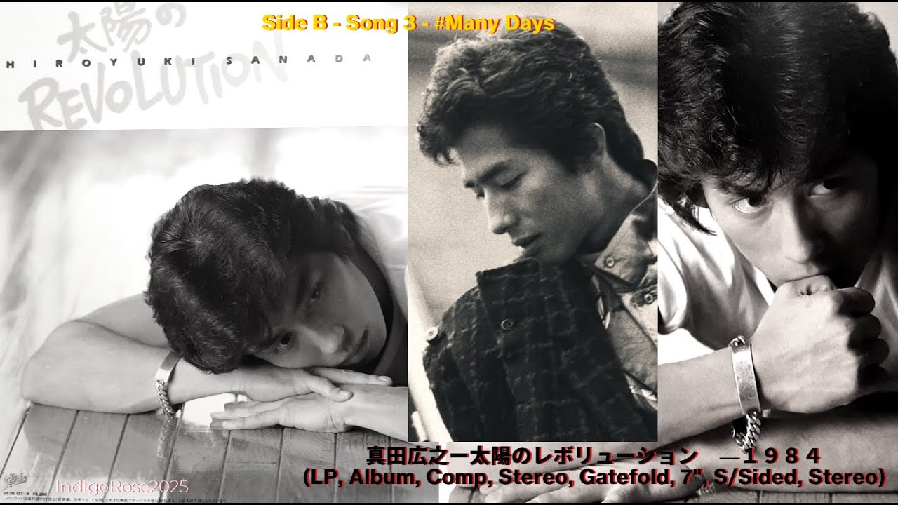 Hiroyuki Sanada - Sun's Revolution - Side B-Song 3 #ManyDays #hiroyukisanada #真田広之 #sanadahiroyuki