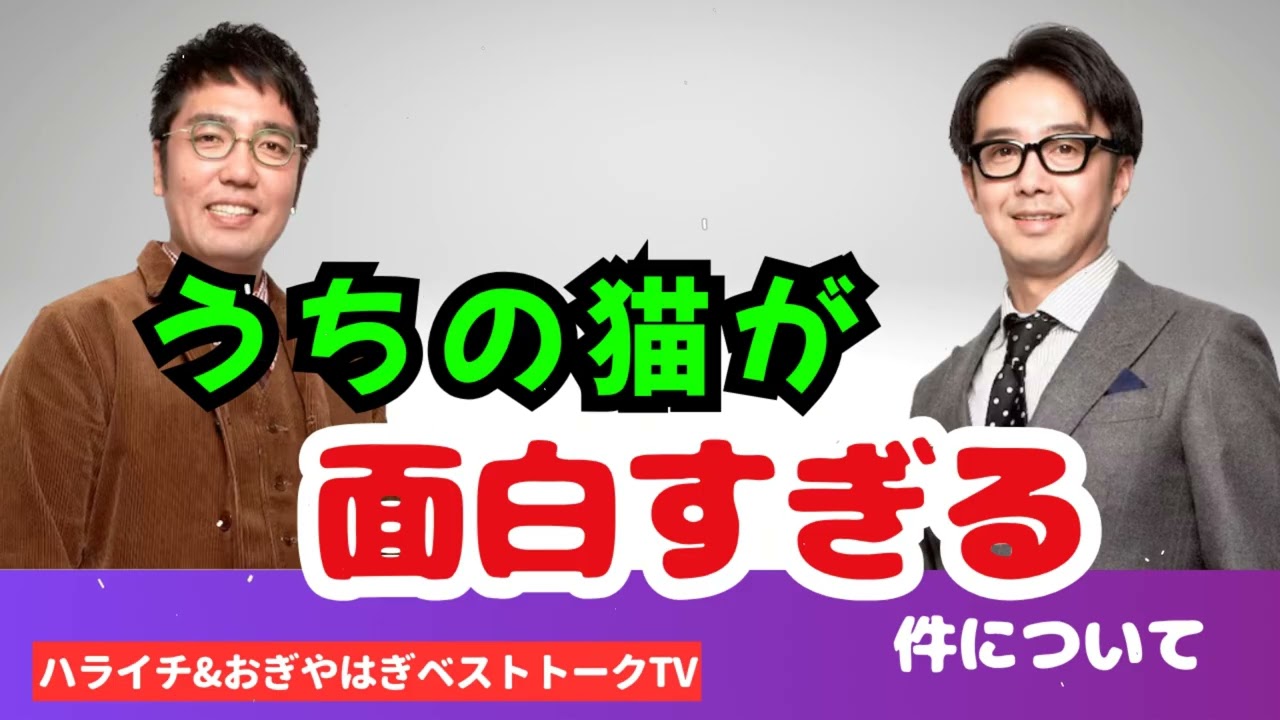 おぎやはぎのメガネびいき - ハライチ&おぎやはぎベストトークTV