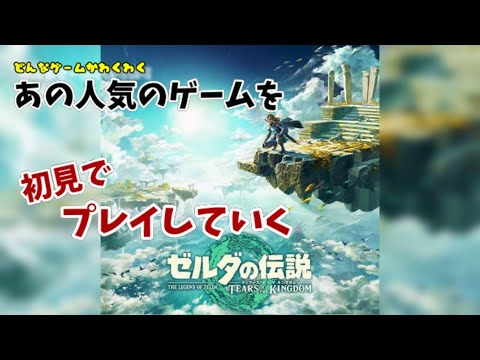 【ゼルダの伝説　ティアーズオブザキングダム】5人目の賢者さがし！　#12