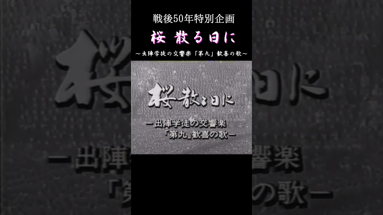 「桜散る日に 」1995年 #shorts #ドラマ #宮内婦貴子 #筒井道隆 #戸田菜穂 #懐かしい #ずんだもん