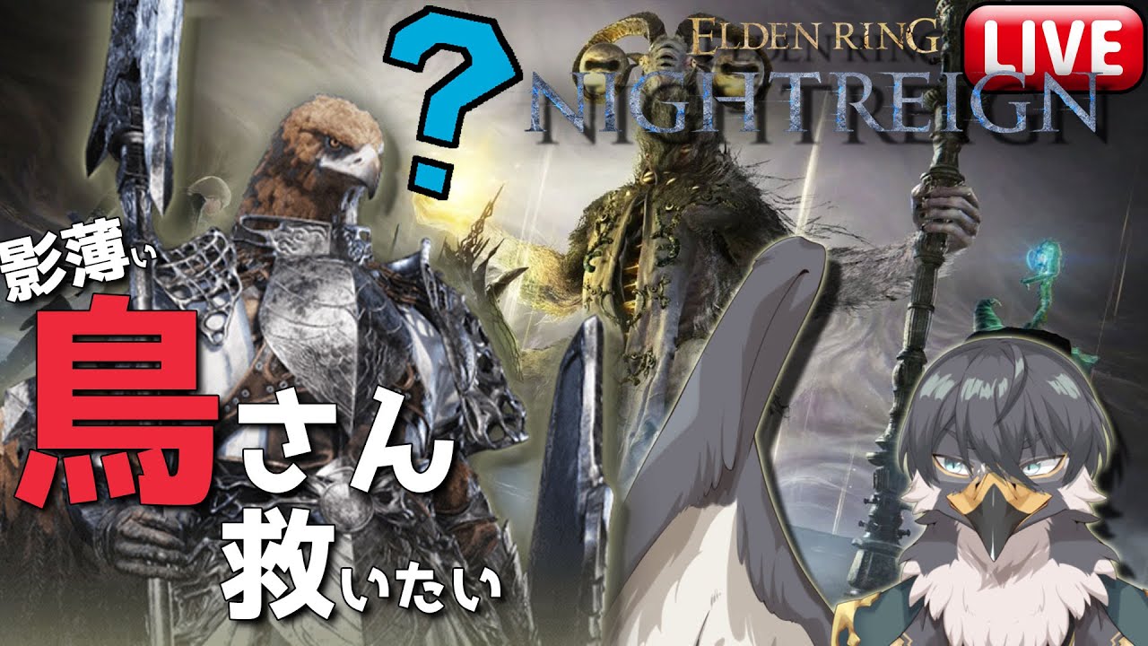 常夜リブラ強すぎワロタ！影の薄い鳥さん救いたい #8.5【ELDEN RING NIGHTREIGN】スパチャ禁止
