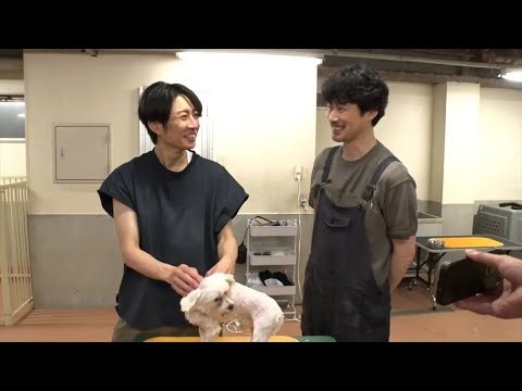 相葉雅紀と竹野内豊が通算100頭目の保護犬トリミングに挑む!!