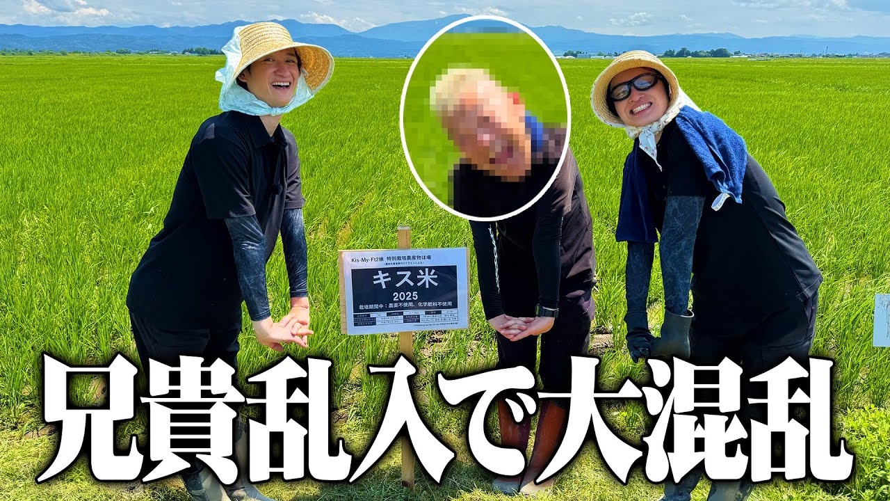 Kis-My-Ft2【キス米プロジェクト】無農薬の米作り中に兄貴が乱入！