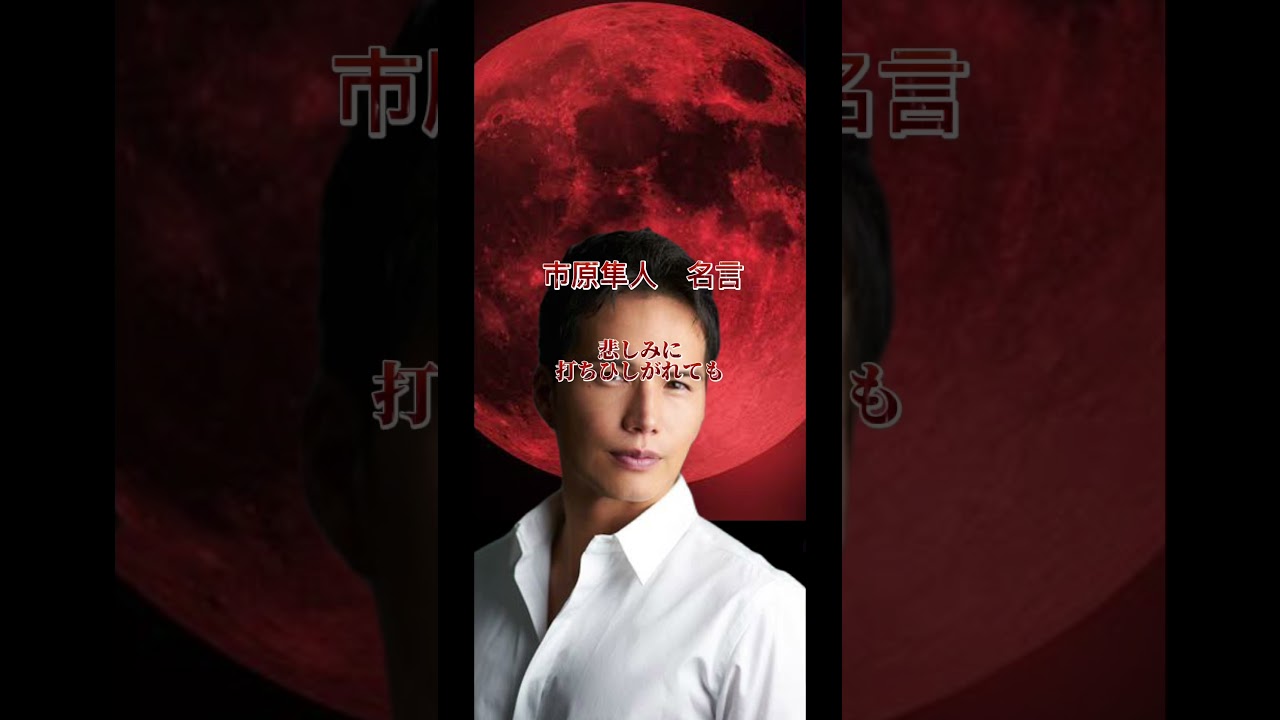 【市原隼人名言】今貴方に必要なメッセージを贈ります #スピリチュアル #名言 #神名言 #名言シリーズ #モチベーションアップ #人生 #刺さる名言 #モチベーション