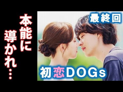 ｢初恋DOGs｣ 最終回 愛子は恋が錯覚ではなく信じていけるように…最終話ドラマ感想 あらすじ