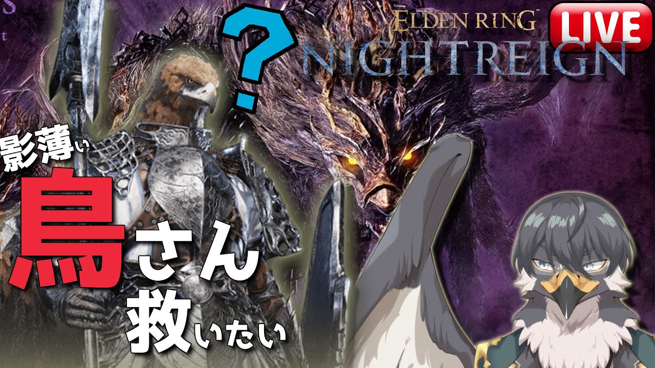 【ELDEN RING NIGHTREIGN】影の薄い鳥さん救いたい #11 スパチャ禁止【Vtuber｜初見歓迎】