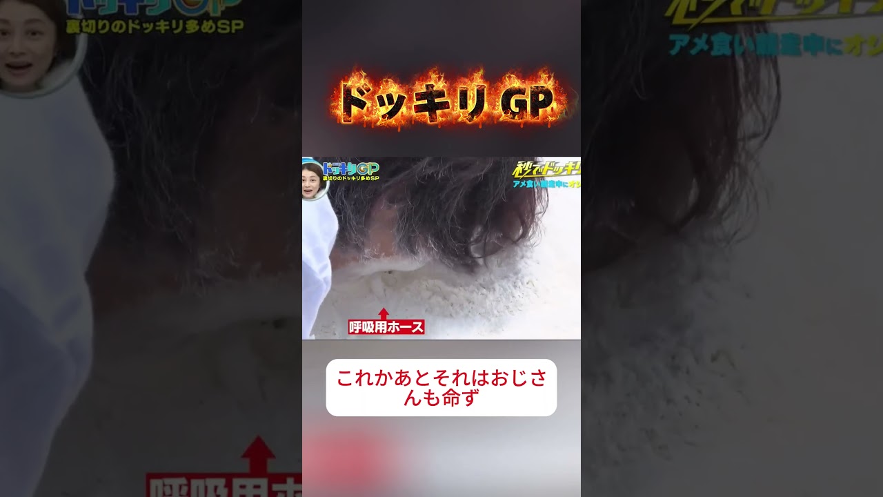 えっ、ここで公開キス！？#ドッキリGP #ドッキリ #バラエティ #芸能人 #prank #JapanPrank #爆笑