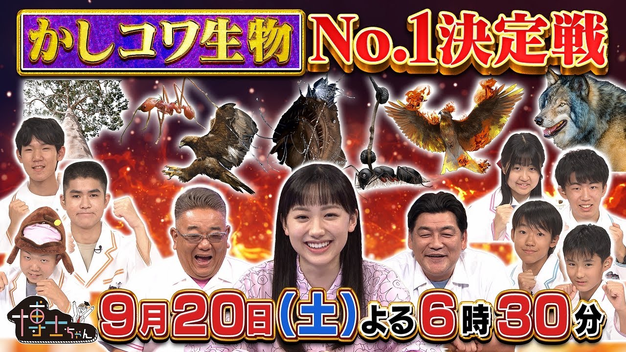 9月20日（土）サンドウィッチマン＆芦田愛菜の博士ちゃん　満島真之介・ココリコ田中直樹も驚愕！かしコワ生物Ｎｏ.１決定戦ＳＰ！