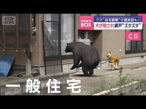 クマ“自宅襲撃”介護施設も…　犬が殺され網戸“ズタズタ”【スーパーJチャンネル】(2025年9月15日)