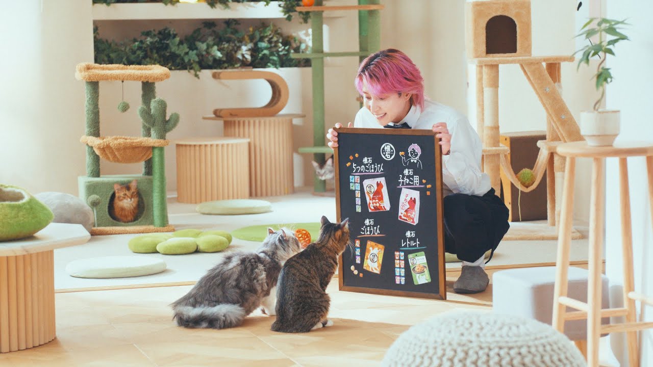 「懐石」佐久間さんのおもてなし篇 30秒【#佐久間さんと懐石ニャンです】