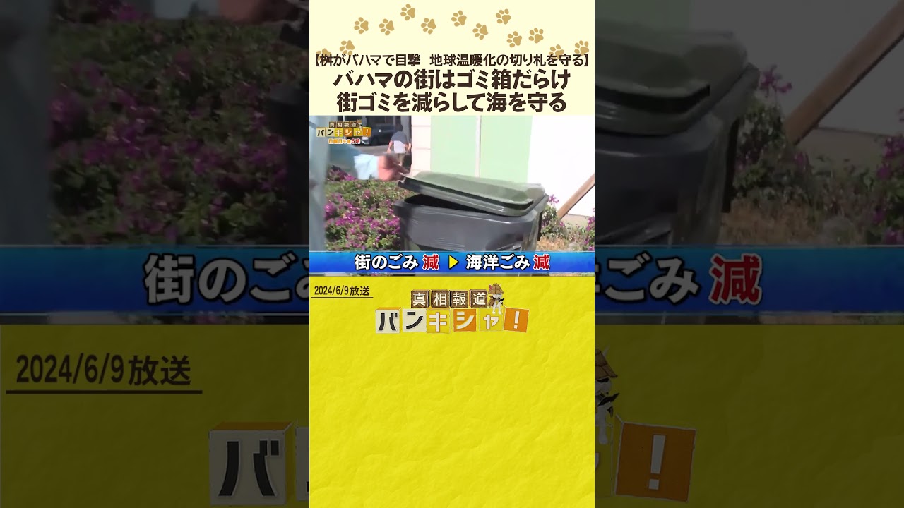 【桝がバハマで目撃　地球温暖化の切り札を守る】バハマの街はゴミ箱だらけ　街ゴミを減らして海を守る