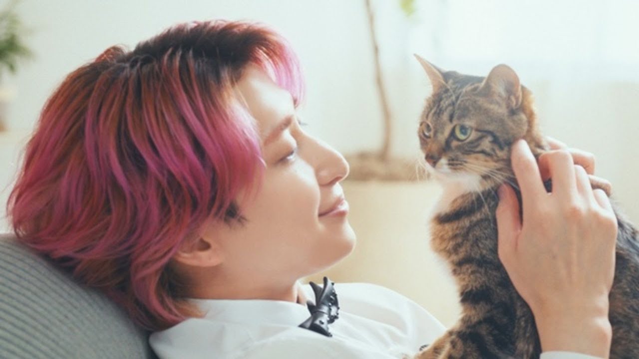 Snow Man佐久間大介、新CMで“猫様”のレストラン店長に　撮影合間にも猫たちと会話、愛猫“ツナシャチ”への思いも吐露
