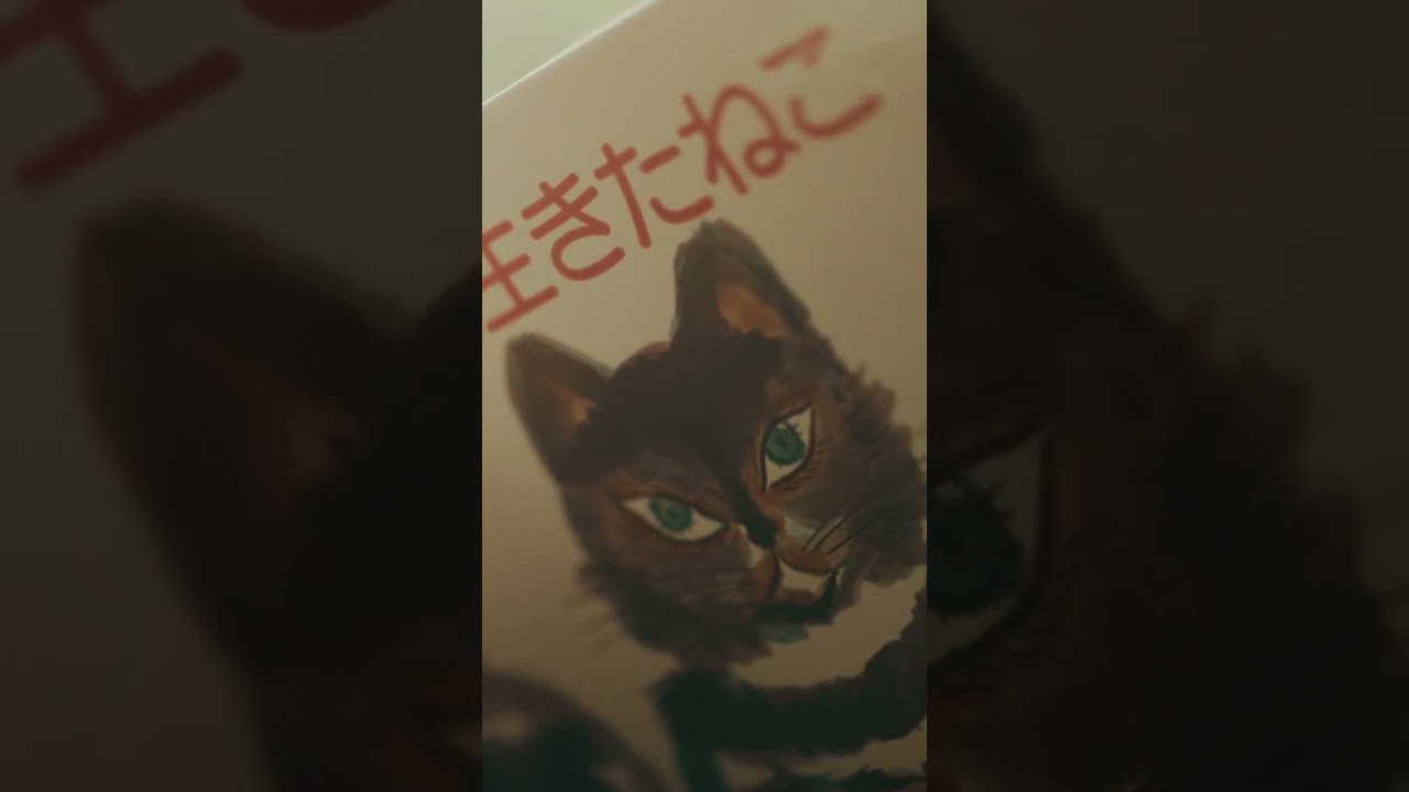 Episode of NINE LIVES ：「my love」第1話