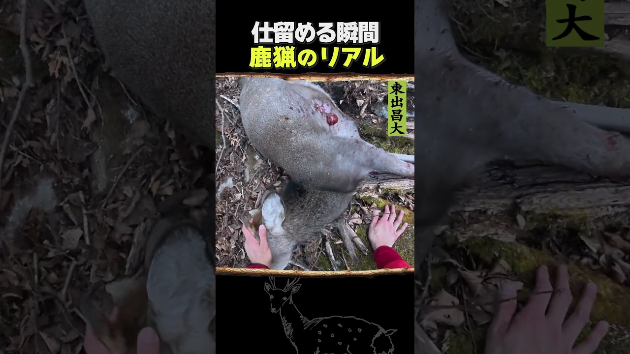 東出昌大 / 鹿を仕留める瞬間