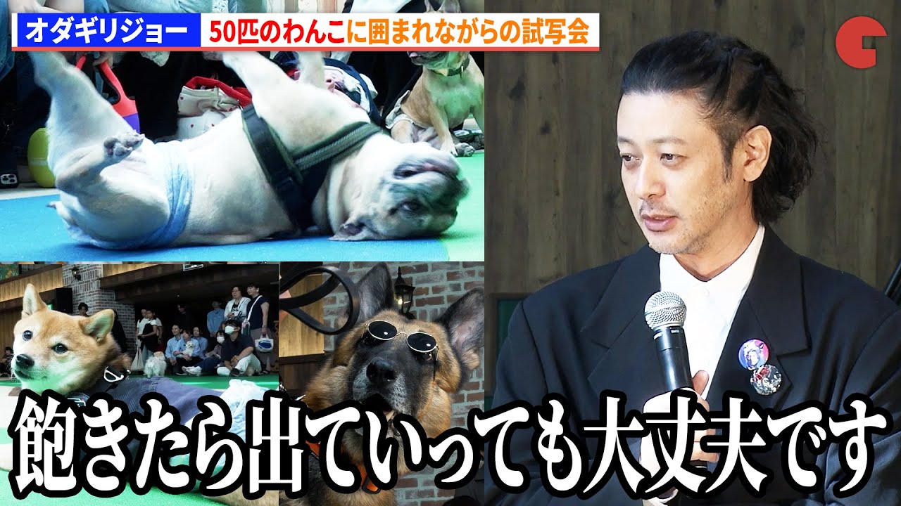 【前代未聞】観客は50匹のわんこ!? オダギリジョー「飽きたら出ていっても大丈夫です」『THE オリバーな犬、(Gosh!!)このヤロウ MOVIE』わんこ試写会