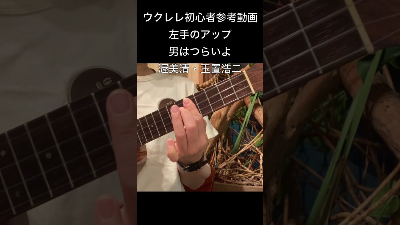 男はつらいよ〜渥美清・玉置浩二〜左手のアップ #shorts #reference #ukulele #ukulelecover #beginner