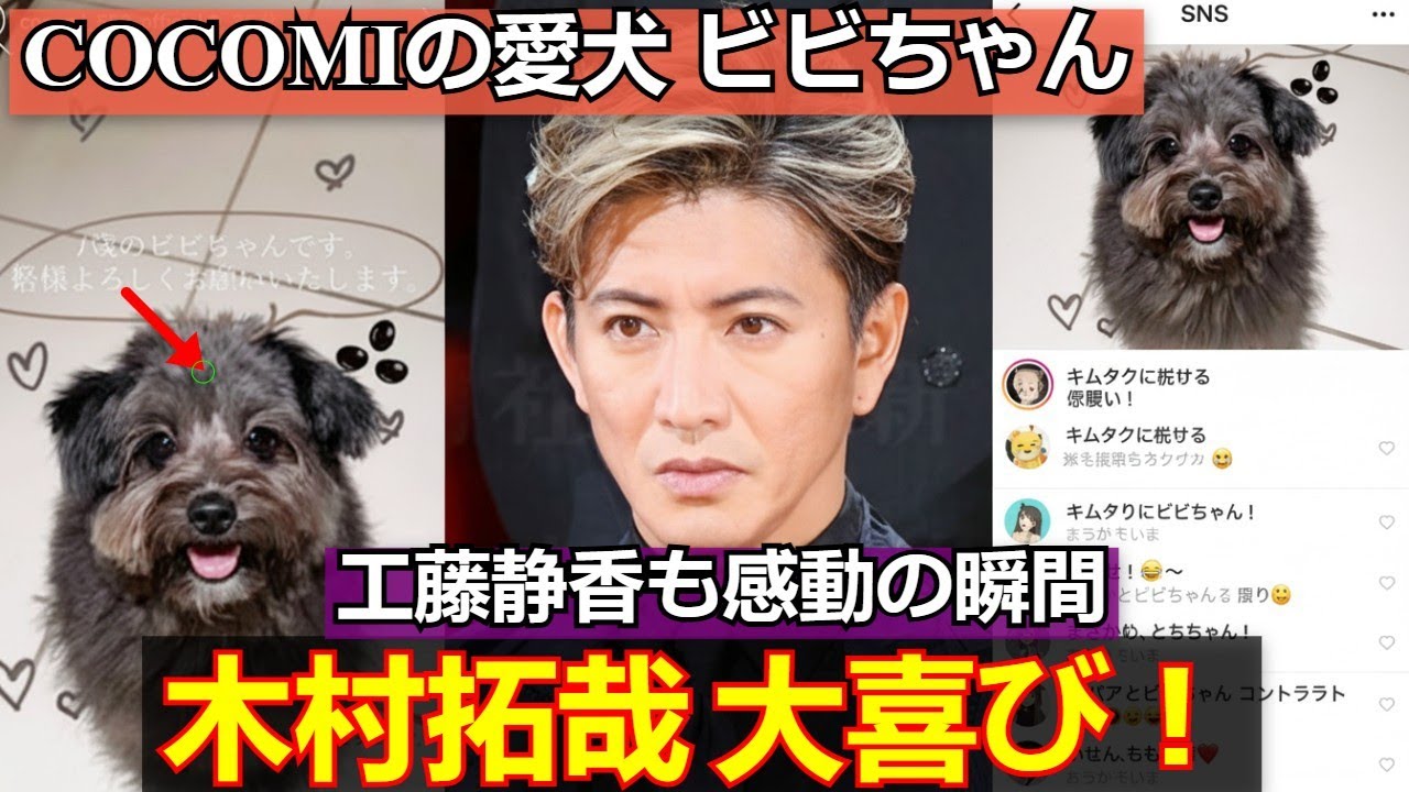 【速報】感動！Cocomiの愛犬紹介に木村拓哉＆工藤静香が大喜びの瞬間