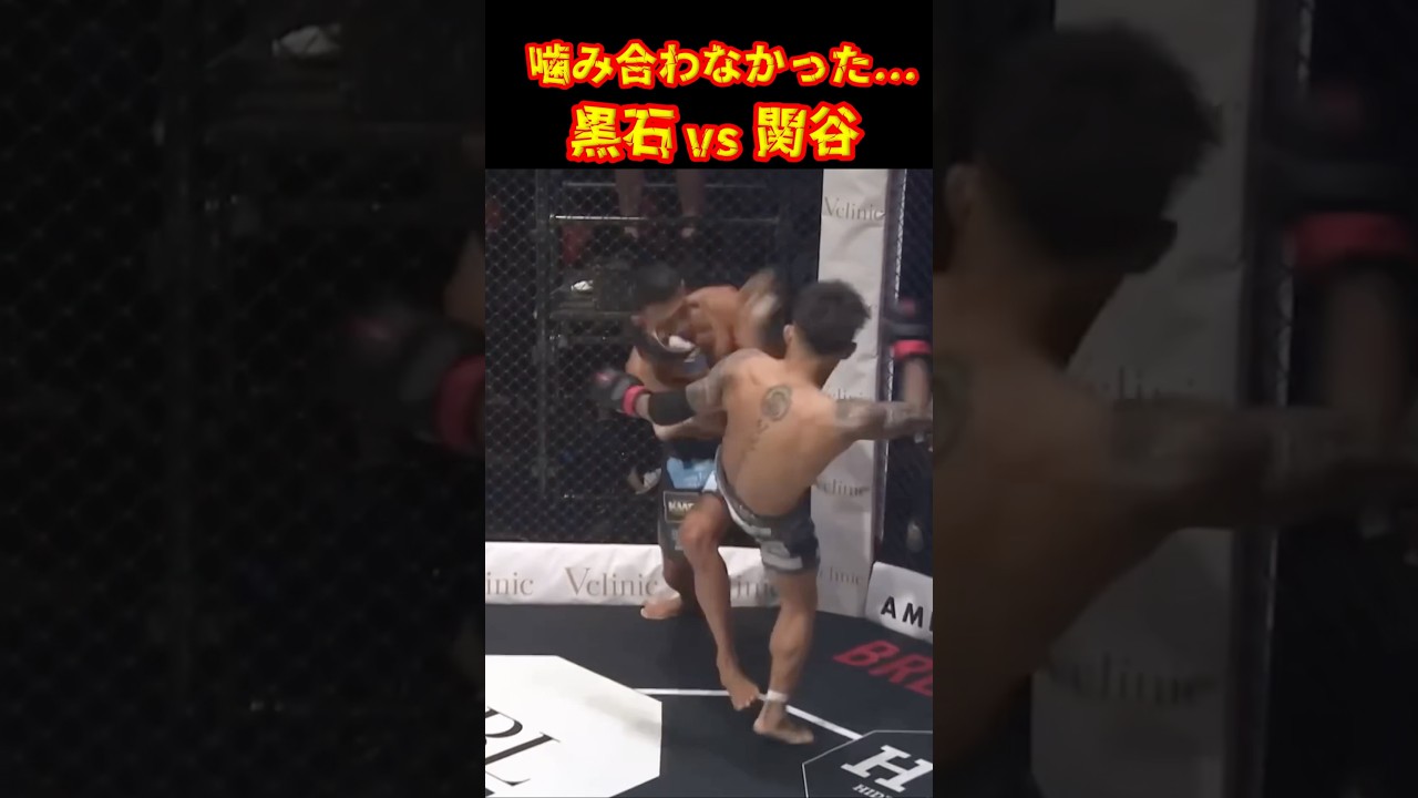 不完全燃焼だった 黒石vs関谷#ブレイキングダウン17 #黒石高大 #関谷勇次郎 #shorts