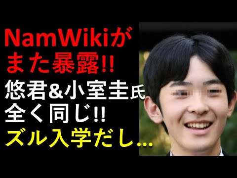 悠君、NamWikiに暴露されたぞ！小室圭氏と全く同じのズルばかり。。。恥ずかしくない？