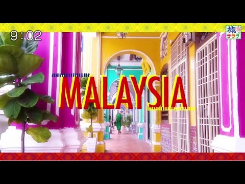 朝だ！生です旅サラダ 2025年10月11日 葵わかな佐賀でイカ堪能&WEST.濱田は京都&クアラルンプール 字幕放送 🅵🆄🅻🅻🆂🅷🅾🆆【𝐇𝐃】