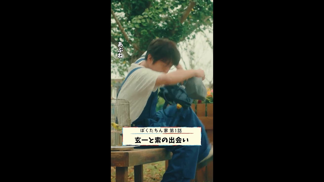 恋のはじまり💘 #及川光博 #手越祐也 #日曜ドラマ #ぼくたちん家 毎週日曜よる10時30分放送！#日テレ #shorts