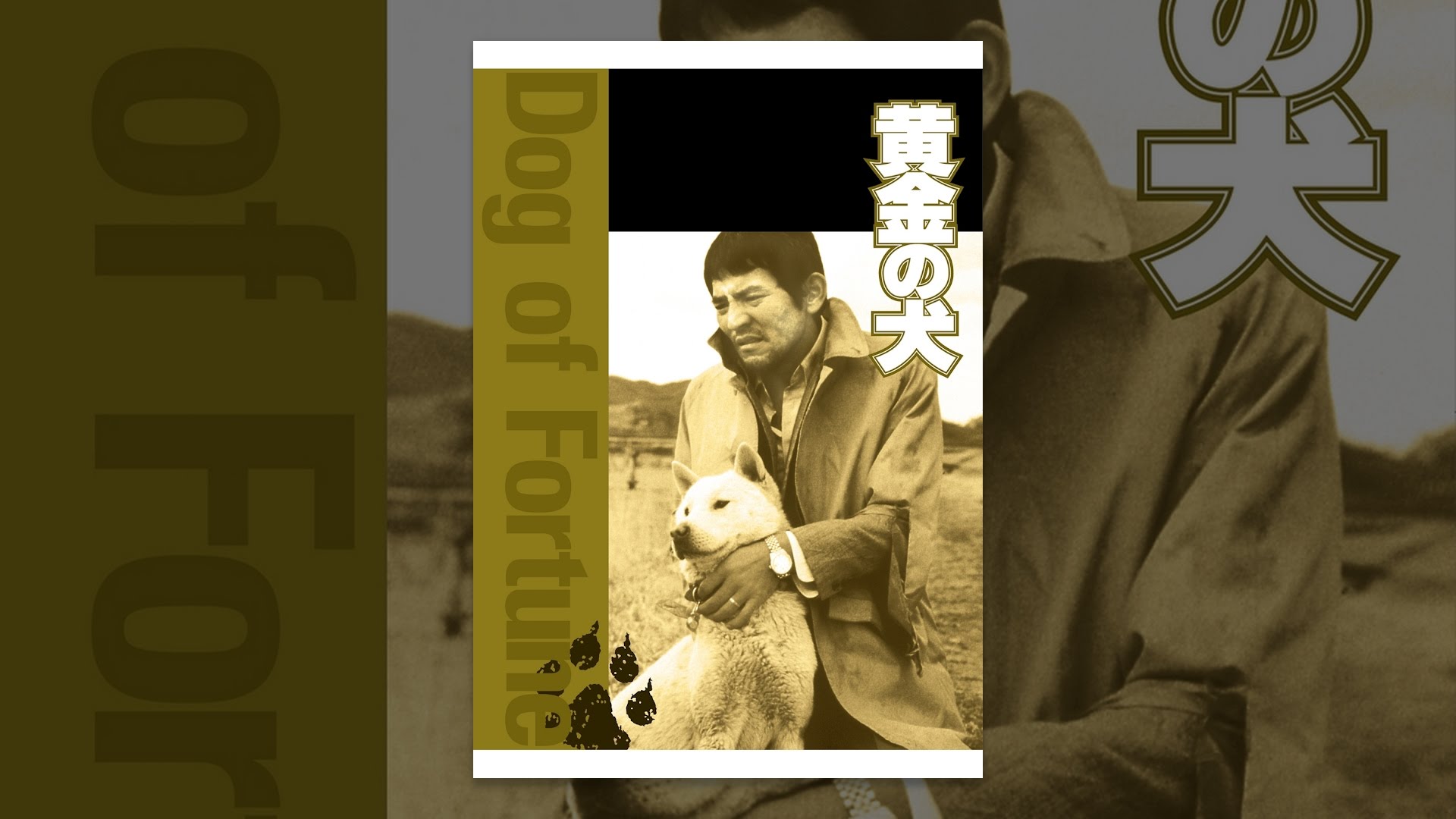 黄金の犬