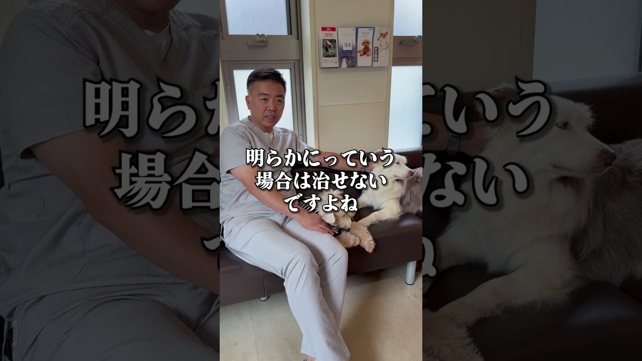 整体で治せない事はありますか？#shorts