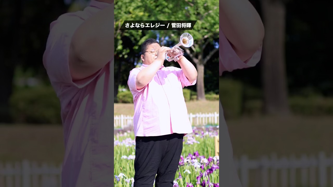 【トランペット】 さよならエレジー / 菅田将暉 #trumpet #トランペット #さよならエレジー #菅田将暉 #石崎ひゅーい