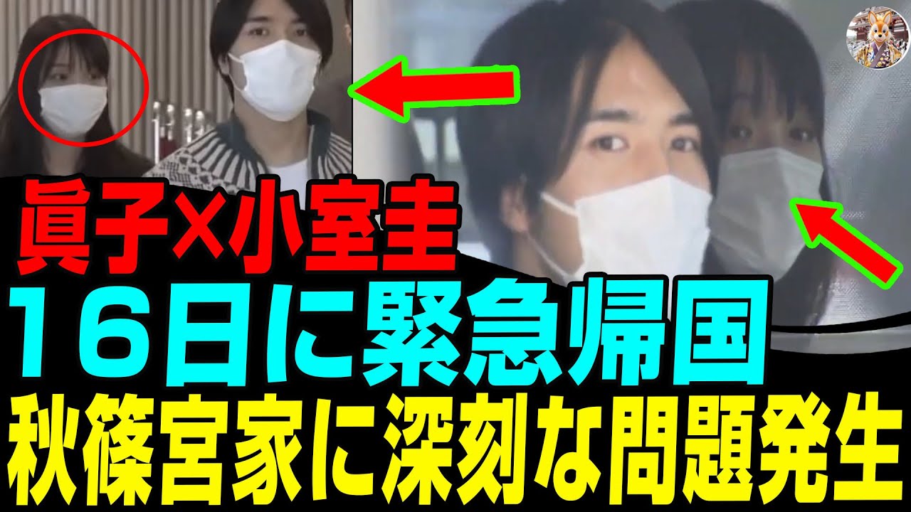 【衝撃】眞子×小室圭、16日に極秘帰国！秋篠宮家で深刻トラブル発生