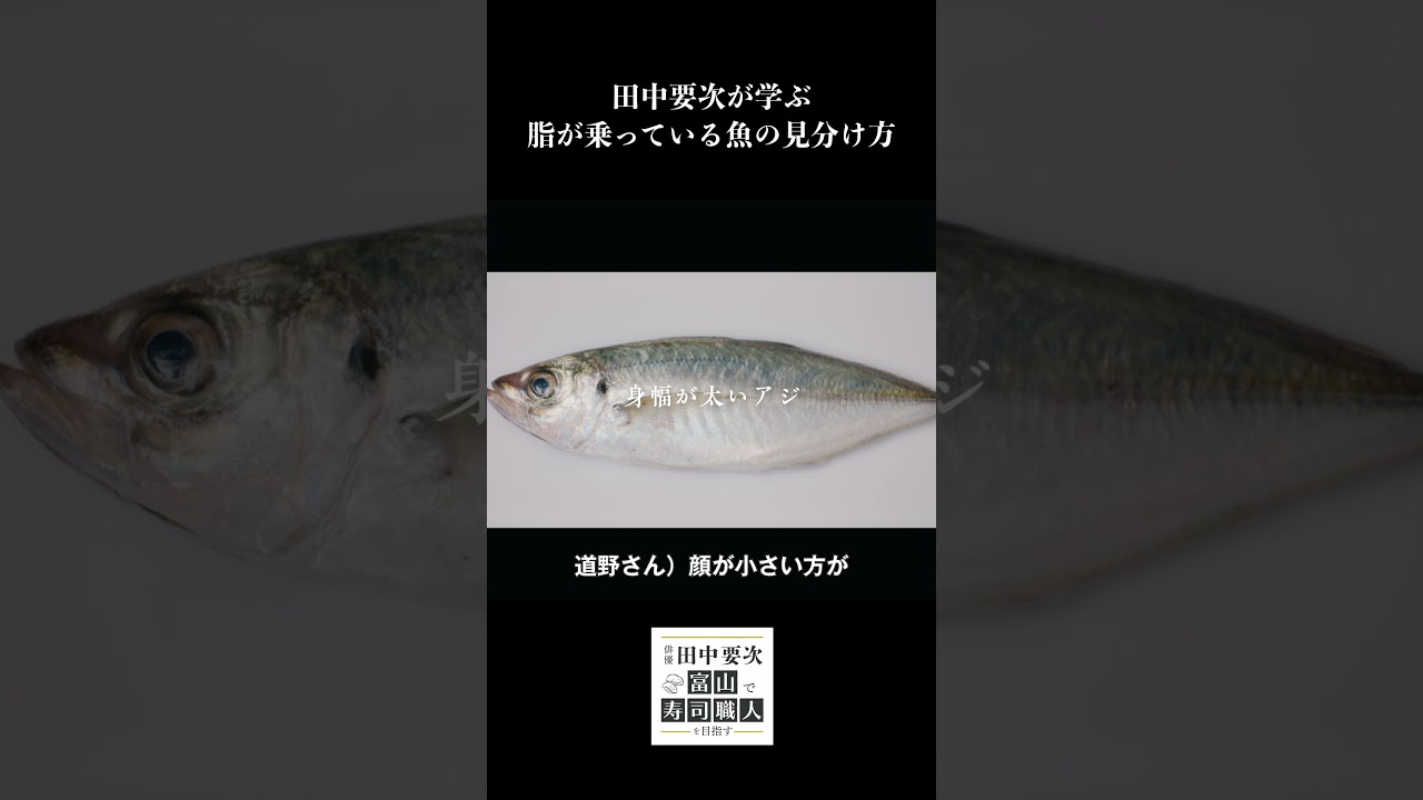 田中要次が学ぶ 脂が乗っている魚の見分け方【毎週木曜配信中】