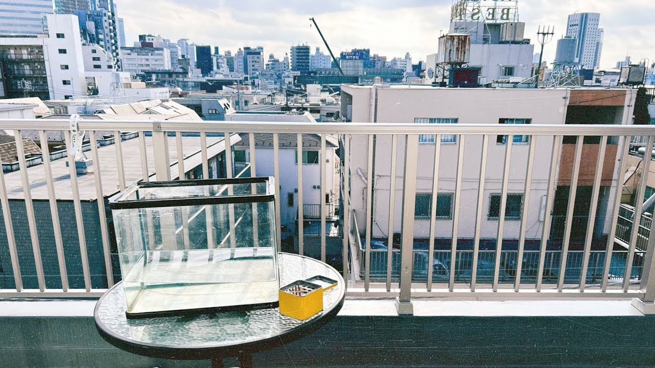 『ミーツ・ザ・ワールド』【松居大悟監督インタビュー#2】