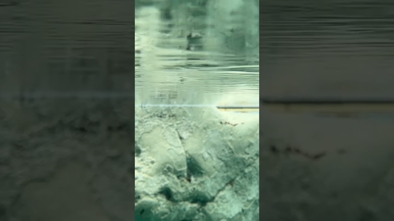 雪ってこうやって溶けるんだ