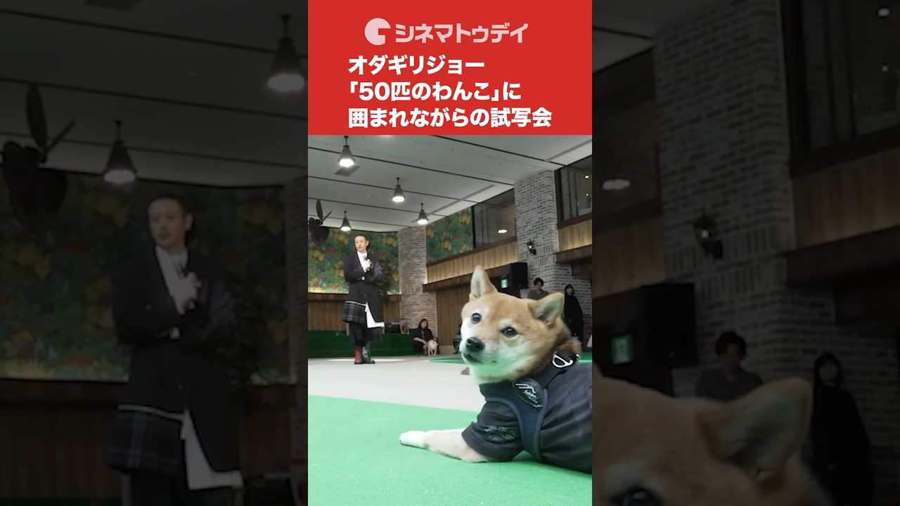50匹のわんこに囲まれるオダギリジョー