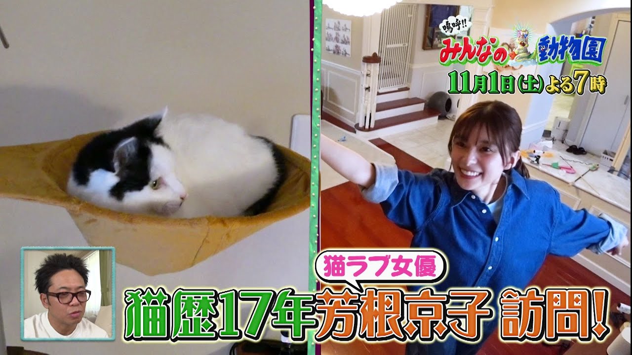 「嗚呼!!みんなの動物園」11月1日土曜よる7時から放送！ラミレス家に芳根京子が訪問！＆相葉トリミングに佐野勇斗