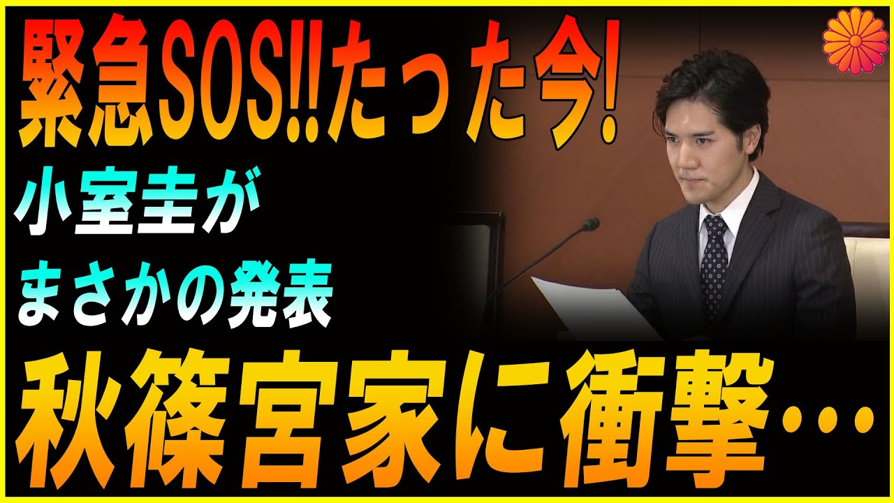 【緊急警報】小室圭が暴露した“秋篠宮家崩壊の真実”！宮内庁が震える前代未聞の発表に日本中が凍りつく！