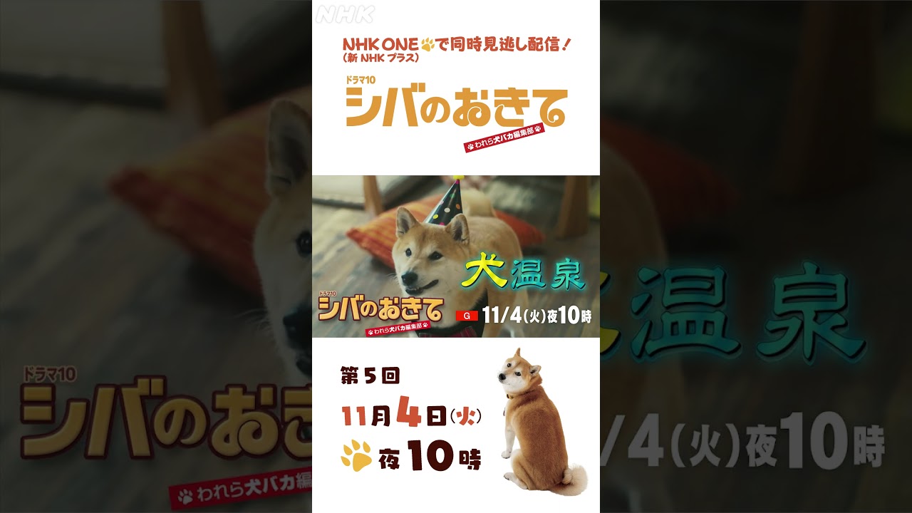 【ドラマ10 シバのおきて】大東駿介 飯豊まりえ 第5回 15秒PR | NHK | #shorts