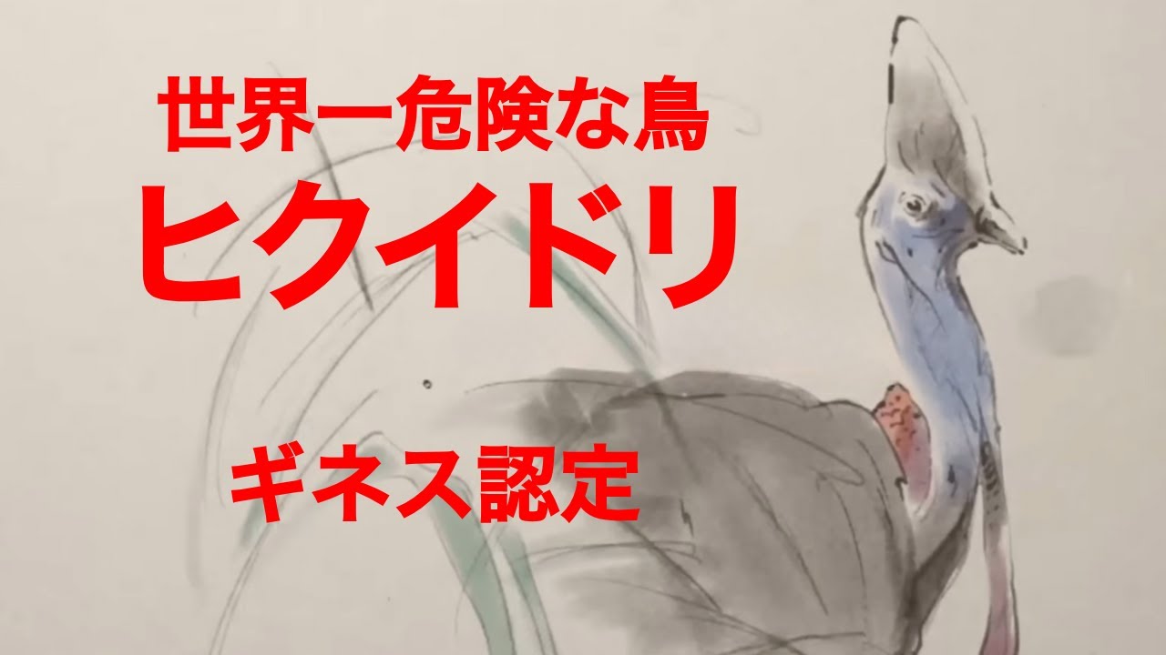 【シナントロープ】「シマセゲラはキツツキ科、ヒクイドリは『世界一危険な鳥』でギネス認定」第4話 感想&考察《きゃりー/ボブ/トリー》#シナントロープ #水上恒司 #坂東龍汰 #山田杏奈 #影山優佳