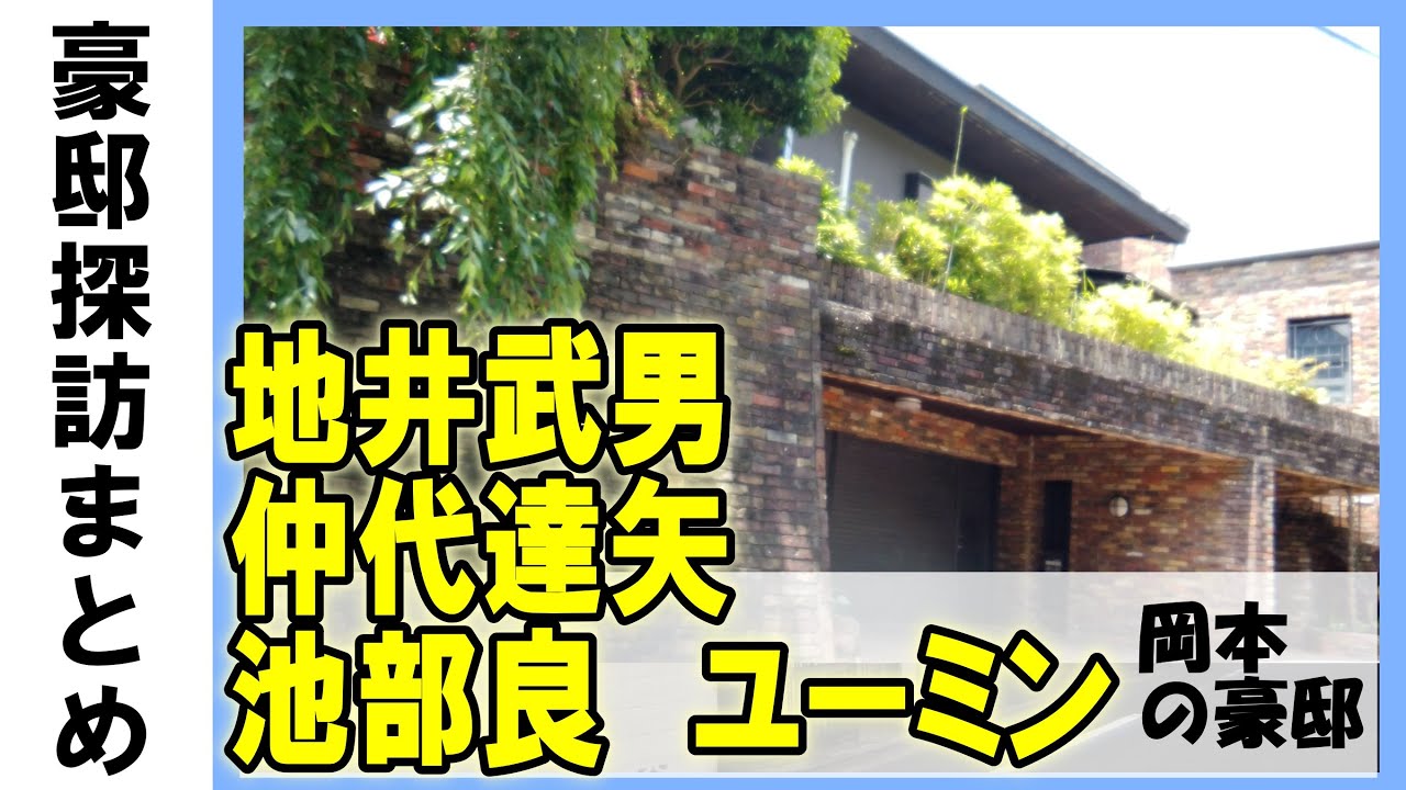 仲代達矢（俳優）・地井武男（俳優）・ユーミン（松任谷由実）・池部良（俳優）・コウケンテツ（料理兼研究家）・GMO社長・ファミコンゲーム開発がある二子玉川の豪邸 #不動産投資 #高級住宅街