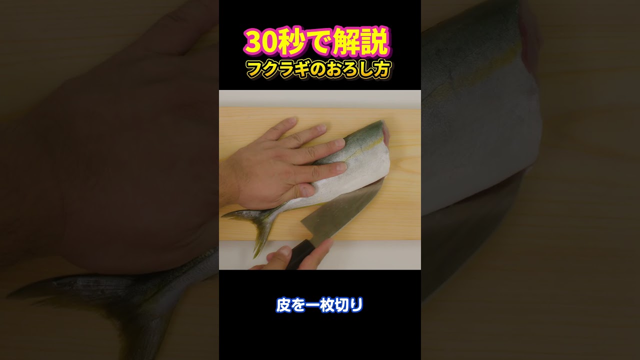 【30秒で解説】フクラギのおろし方【毎週木曜配信中】